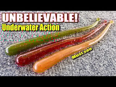 The Shaky Head SECRET That's Catching Bass Like CRAZY This Fall!