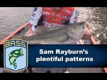 Sam Rayburn's plentiful patterns