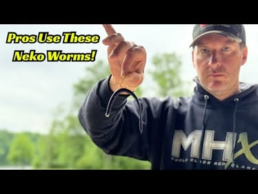These Neko Rig Worms Dominate The Pro Tournaments!