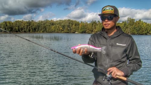 Choosing the Right Equipment for Magnum Swimbaits