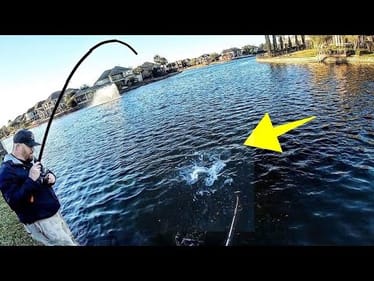 MIRACLE CATCH in BACKYARD POND!!