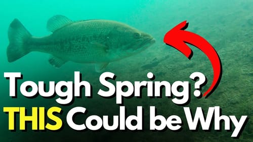 KEY Factor Often Overlooked When Spring Bass Fishing