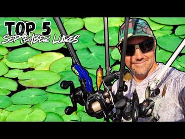 Throw THESE LURES Now!!! || Best September Lures