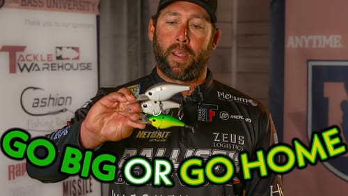 BIG 3 Offshore Bass Fishing Secret Tips