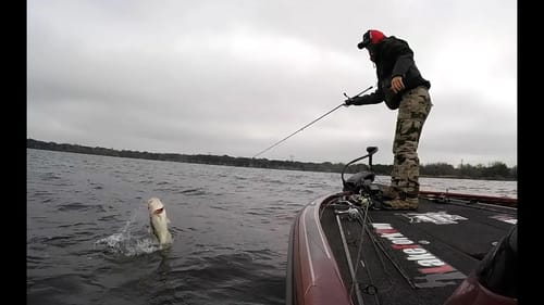 Finding Bass Offshore in the Pre Spawn