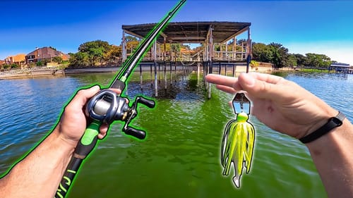 URBAN Fall Bass Fishing Heavily POLLUTED Texas Lake!