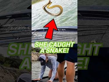 My GF hooked a snake while bass fishing and it turned into a reptile rodeo! 🐍 #fishing #weirdfishes
