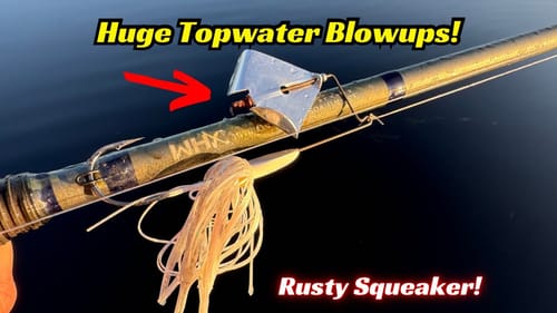 This Rusty Squeaker Resulted In Huge Topwater Blowups!