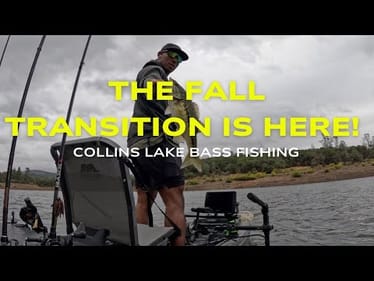 THE FALL TRANSITION IS HERE!! | CALIFORNIA BASS FISHING| COLLINS LAKE #fishing #bassfishing