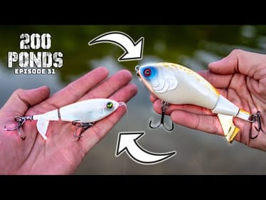 Fishing BIG vs SMALL Lures For Pond Bass! (“200 Ponds” Ep. 31)