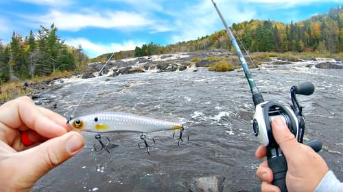 DANGEROUS Wade Fishing a RAGING Flooded River to Catch Dinner!!!