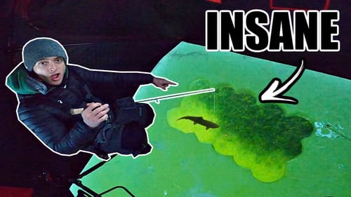 Sight Fishing ULTRA CLEAR Water on THIN Ice!! (DANGEROUS)