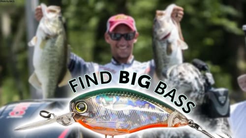 EASY Prespawn Fishing | Tips to Find Big Bass