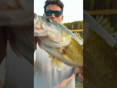 We found & fished a LOADED Farm Pond! Full vid linked #bassfishing #fishing #farmpond #summer