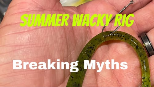 Secret Colors For Catching Wacky Rig Bass In The Summer