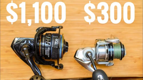 $1,100 Fishing Reel vs $300 Fishing Reel