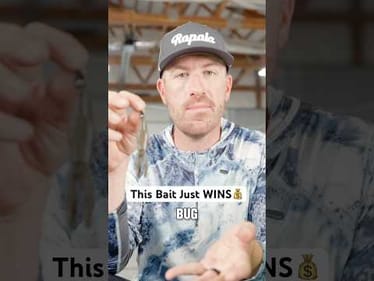 This Bait WINS Bass Tournaments!💰 #shorts
