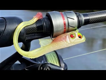 Fish Swallowing a Jig Head Bait