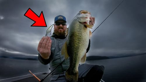 Fishing Cold Water Crankbaits For Big Winter Bass
