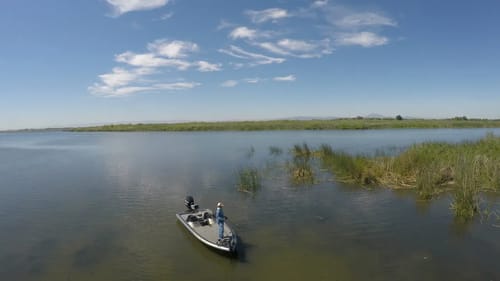 What's New With TacticalBassin?