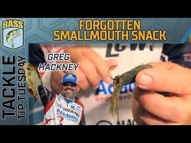 The MOST forgotten Smallmouth lure