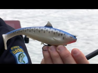 Top 5 Baits for Big Bass in April! | Bass Fishing