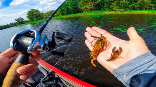 When Matching The Hatch Doesn't Work || River BASS Fishing Tournament