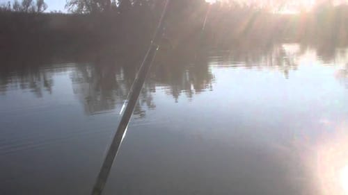 crappie with bass jig