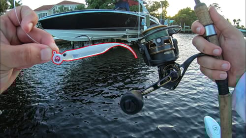 Micro Bass Lure Could be a Saltwater Gamechanger