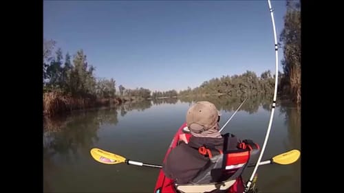 Sycamore Island Bass Fishing 2015