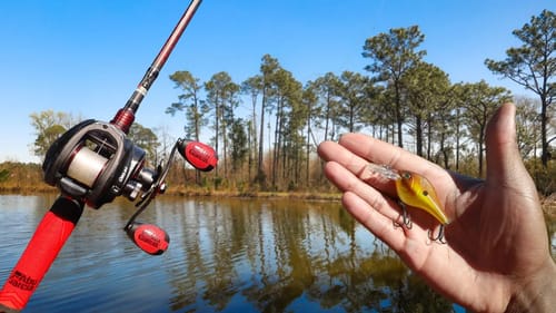 Early Spring BASS FISHING A Deep POND (TACKLE SHOP CHALLENGE)