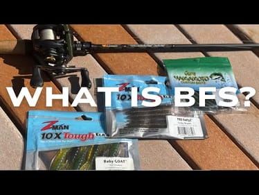 WHAT IS BFS? | BASS FISHING WITH BAIT FINESSE GEAR