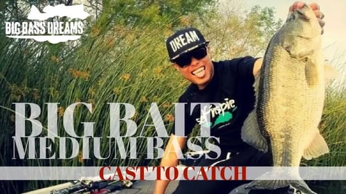 Baitsmith Magnum Swimbait Cast to Catch