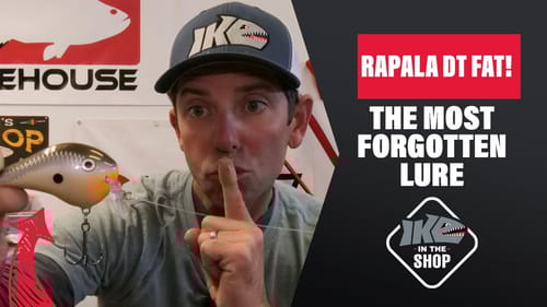 The Most Essential Crankbait to have in your Arsenal | The Secret Rapala DT Fat Series | In the Shop
