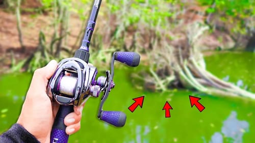 BIG Bass are LOADED in this HIDDEN Creek (River Fishing)