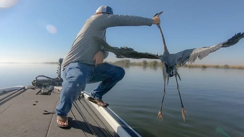 Craziest Day Ever Ends in Boat Crash! - FAIL