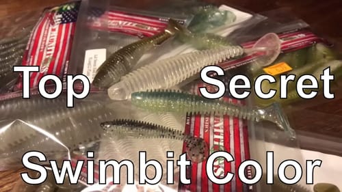 Top Secret Swimbait Color and Bassmunitions Unboxing.