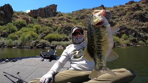 Tracking And Targeting BIG Bass!