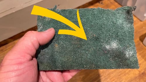 This Pot Scrubber WILL Double The Number Of Bass You Catch