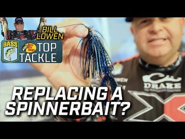 Chatterbait replacing a Spinnerbait?