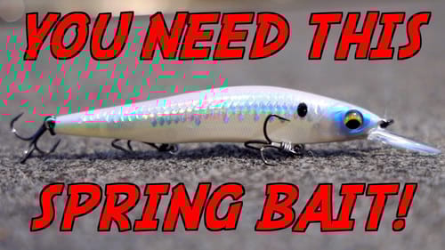 DON'T Go Spring Bass Fishing WITHOUT This Bait!