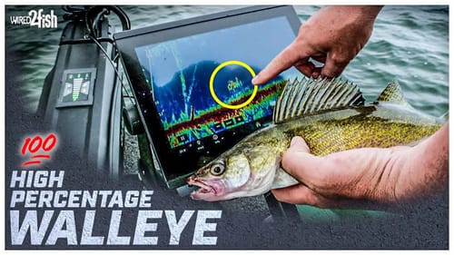 4 Walleye Fishing Setups for “Most” Situations