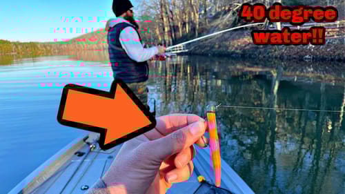 The Fish Made Me Do THIS...