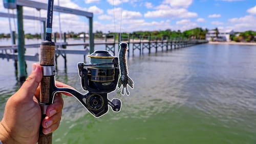 Fishing GIANT Saltwater Docks with Weird Shrimp Lure