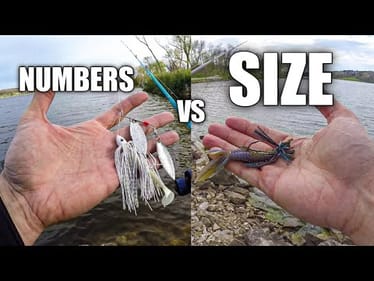 Bank Fishing with a Spinnerbait and Finesse Jig | *Jig Caught BIGGER Fish*