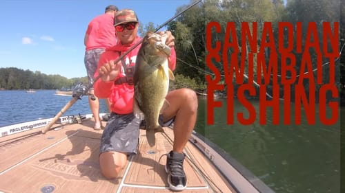 Big Bass Dreams Canada Swimbait Fishing Success