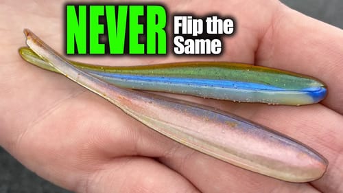 I'm going to get in TROUBLE for THIS - The Newest Way To Flip For Bass