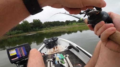 Back at the Landfill (Big Summer Bass!)