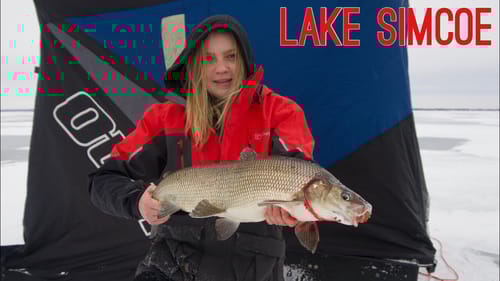 Whitefish & Lake Trout fishing - 2 PERSONAL BESTS!!