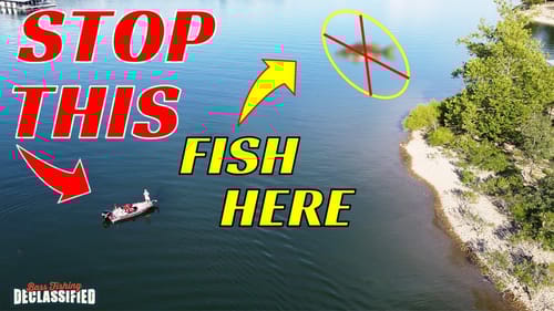 Why New Bass Fisherman Fail to Catch Bass In The Summer – Common Summer Fishing Mistakes